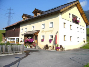 Гостиница Burgerhof, Петтной Им Альберг